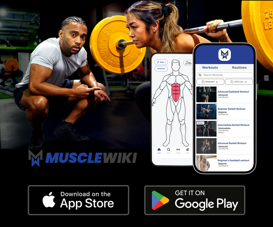  Track your workouts, 2000+ exercises, professionally tailored workouts and routines